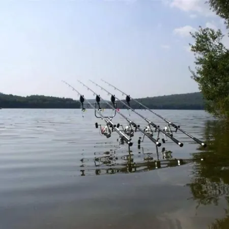 L'echappee Verte Ambiance Nature Et Foret Vakantiehuis *
